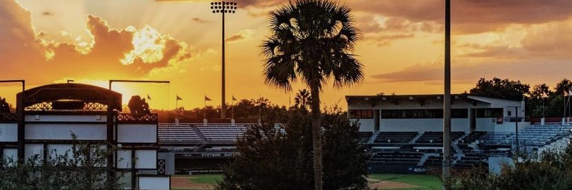 Stetson Baseball's banner