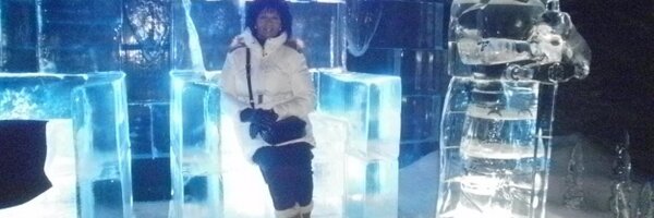 JENNIFERSELMES Profile Banner