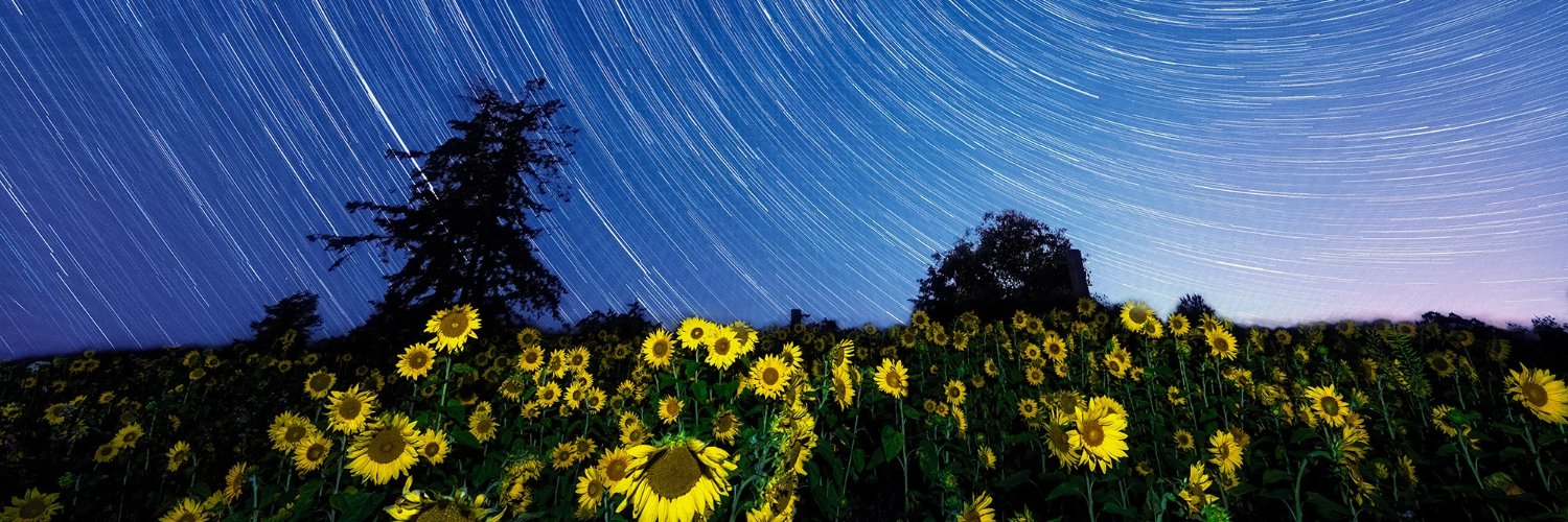 Stockholm Environment Institute (SEI) banner