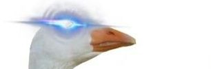 zereaper13's profile banner image