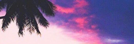 D. banner