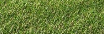 AlOkser's profile banner image