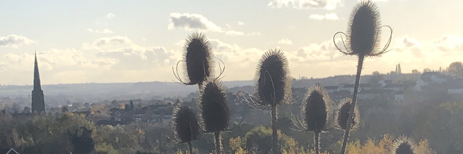 QuietQueer's profile banner image
