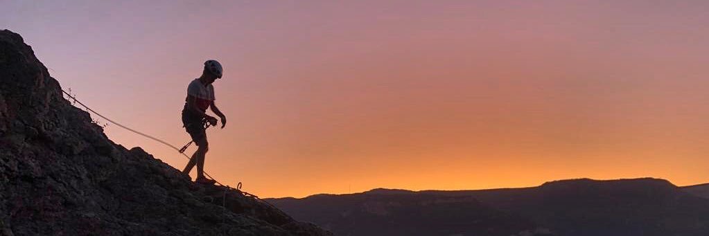 Céline Vincent banner