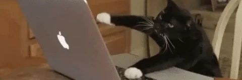 botzillabot's profile banner image