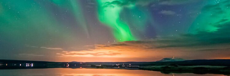 NHubhub's profile banner image