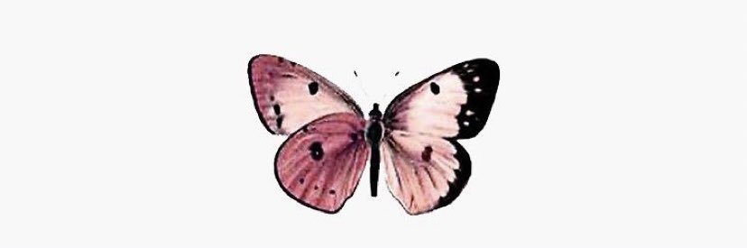 julia_catic's profile banner image
