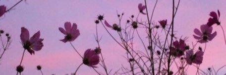 itsssabby's profile banner image