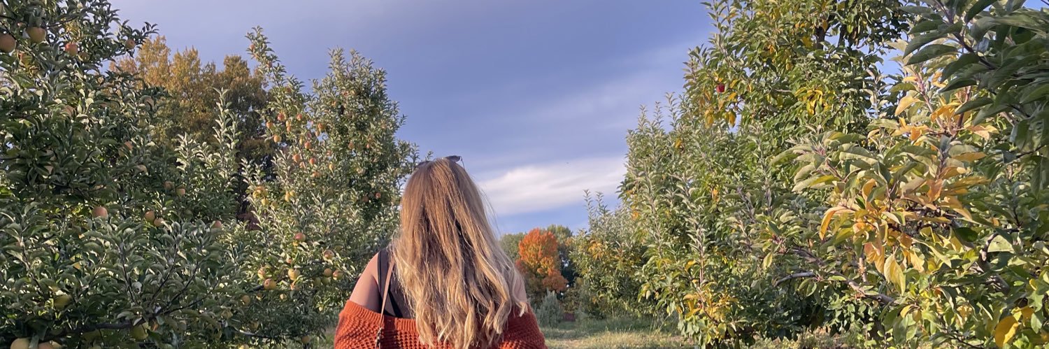 PetrowTyler's profile banner image