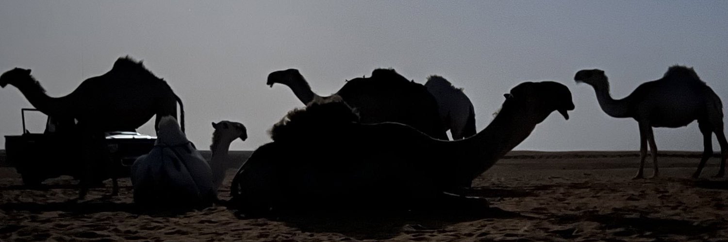 راكان بن سلطان banner