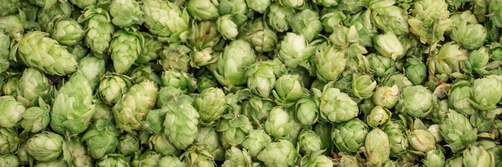 Bomber Brewing banner