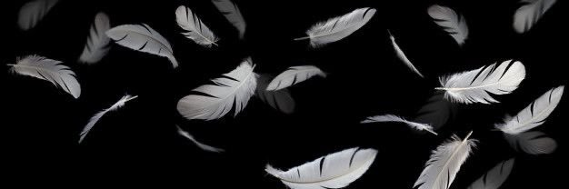 ChaliaVeloz's profile banner image