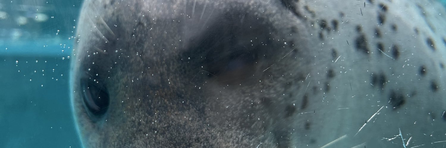 tunapam's profile banner image