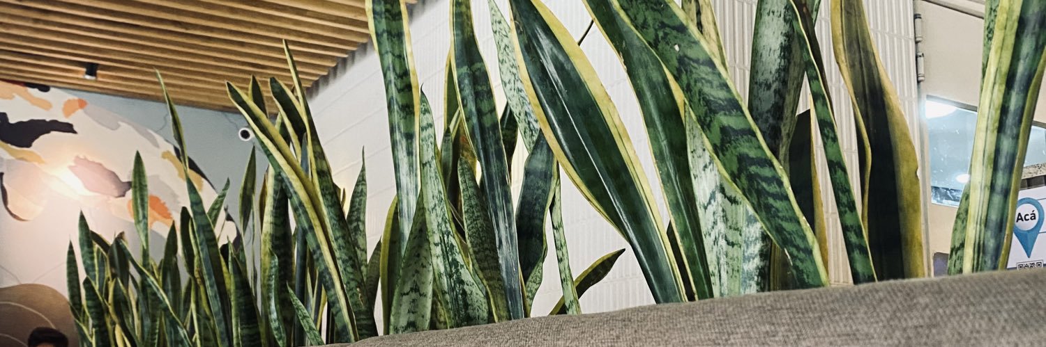 SwagJustinBM's profile banner image