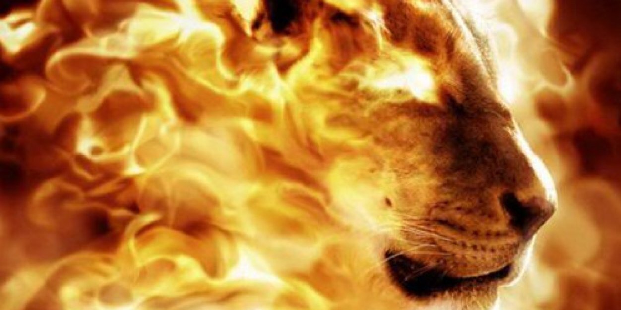 Scottytang123's profile banner image