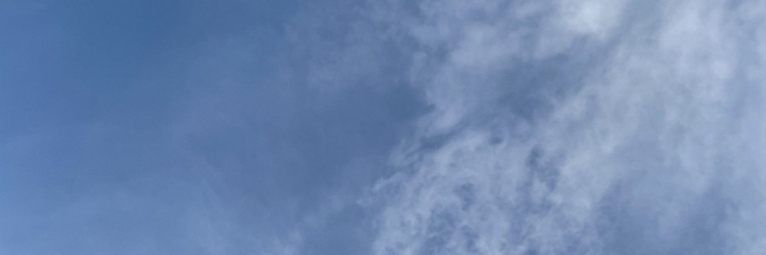 allybou_'s profile banner image
