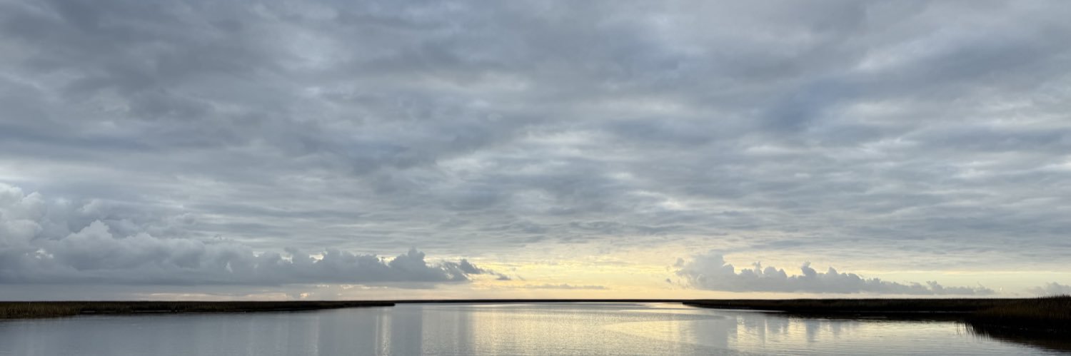 MP banner