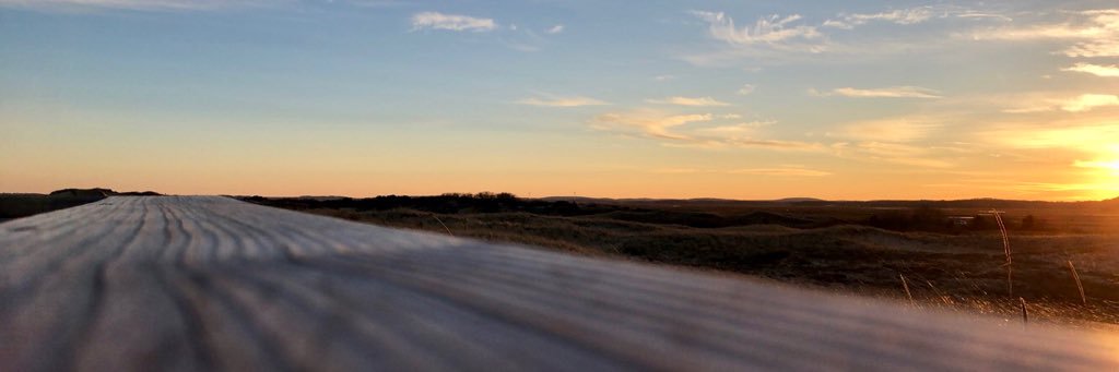 Emilysullivan98's profile banner image