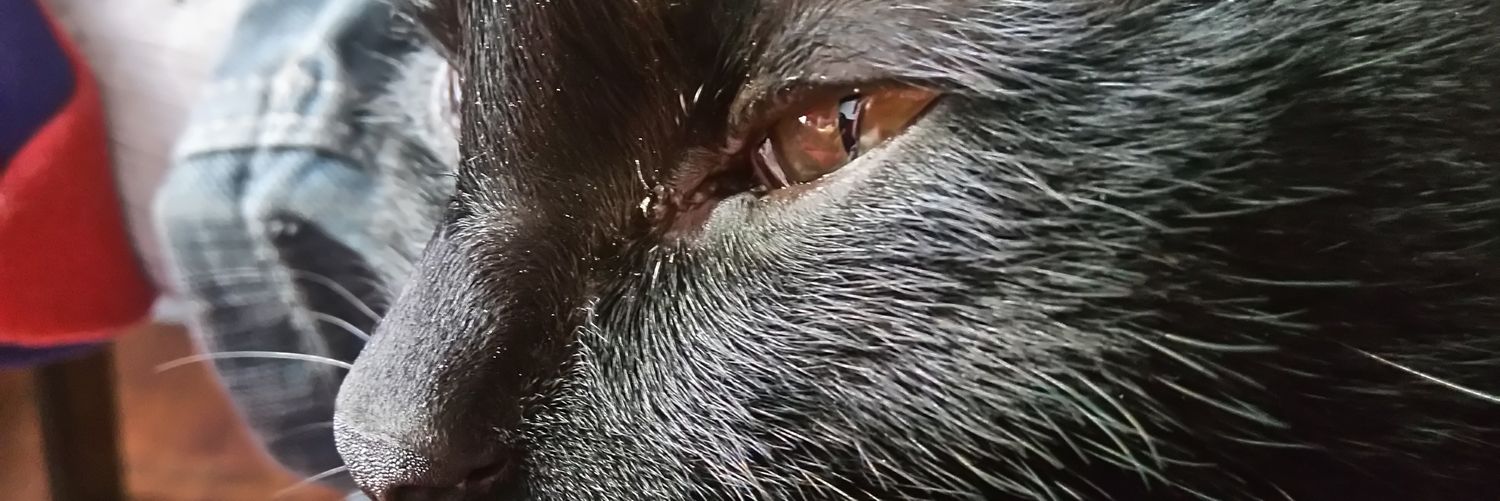 Brunation44's profile banner image