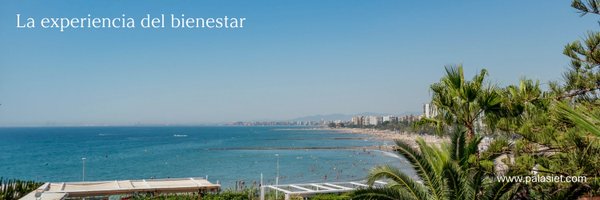 palasiet Profile Banner