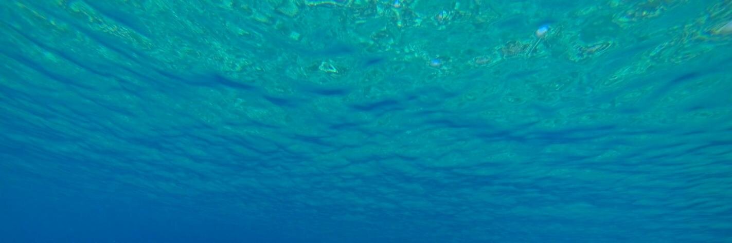 OneSwellLife's profile banner image