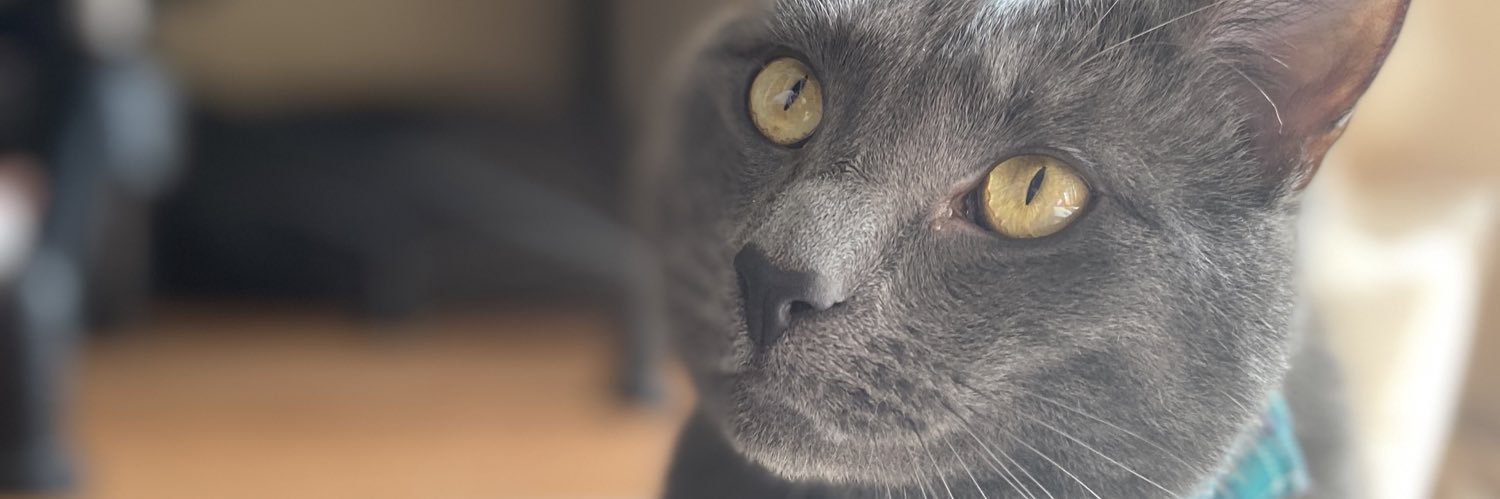 itsterneh's profile banner image