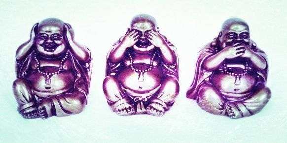 sasha_ross's profile banner image
