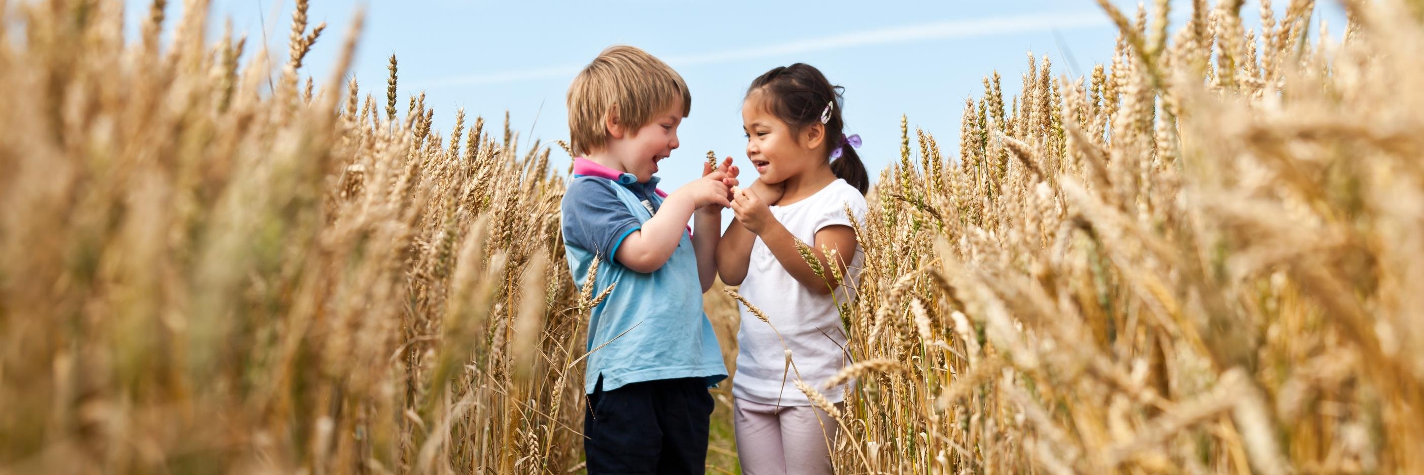 meadowsnursery's profile banner image