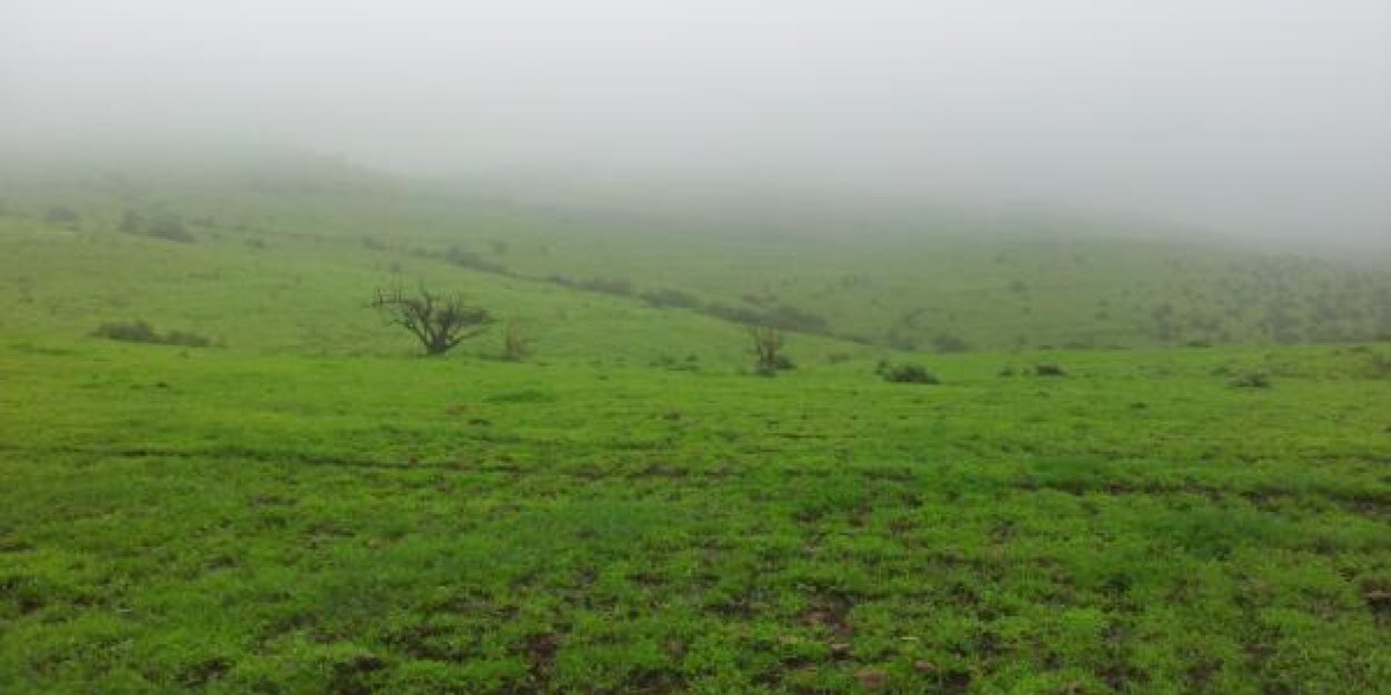 rrrm551's profile banner image