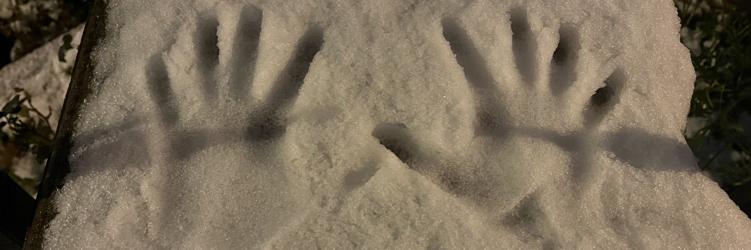 SemaCelikkol's profile banner image