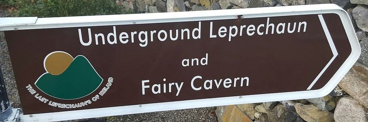 The Leprechaun whisperer banner