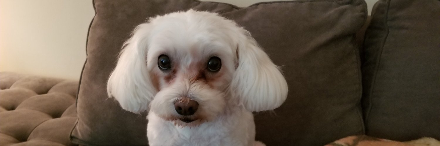 you're sexier in a mask 🏳️‍🌈 banner