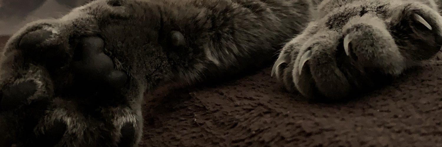 paws__4fx's profile banner image