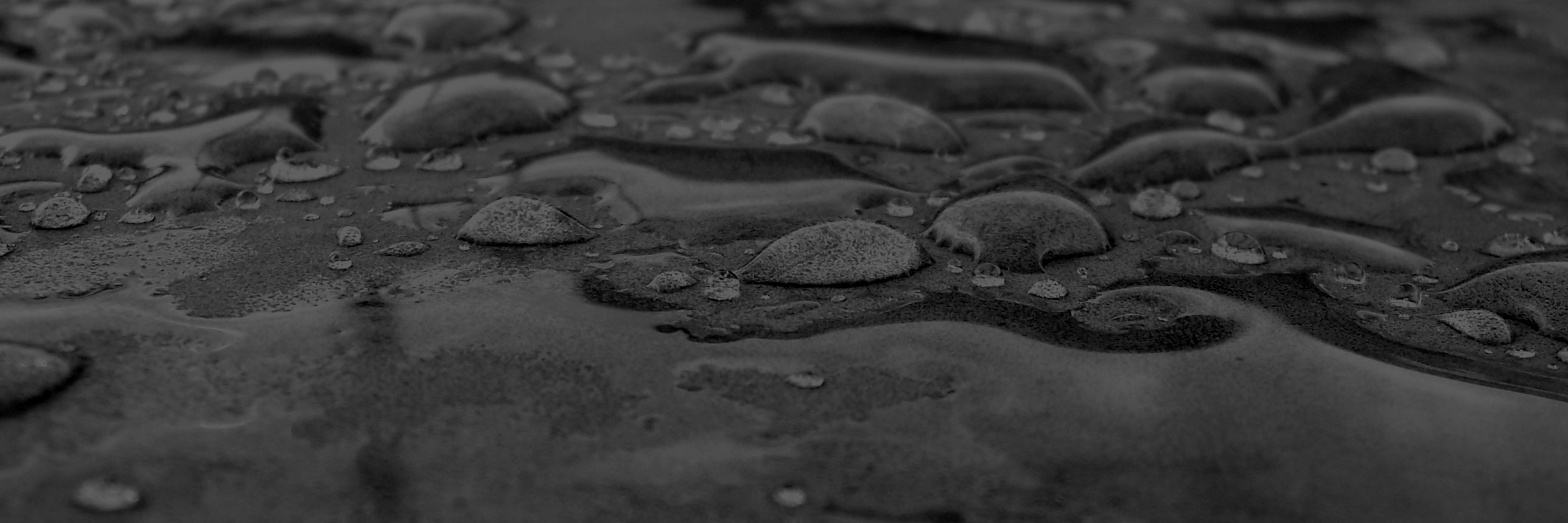 Leandro Núñez banner