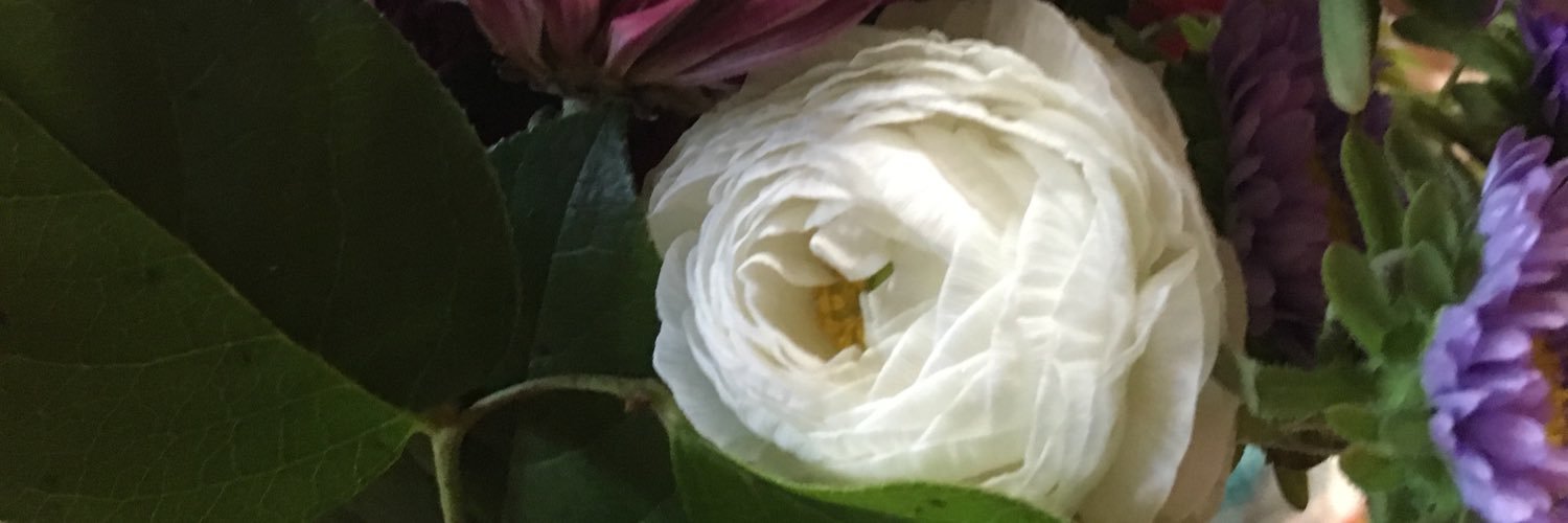 Rjnowack's profile banner image