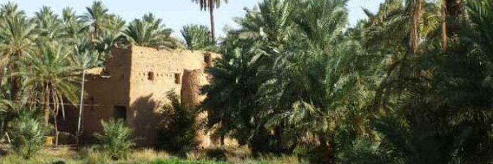 عبدالمحسن الضويحي banner