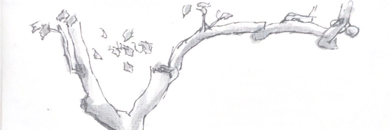 xestrand's profile banner image
