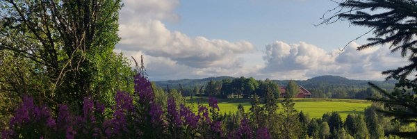 nebulami Profile Banner