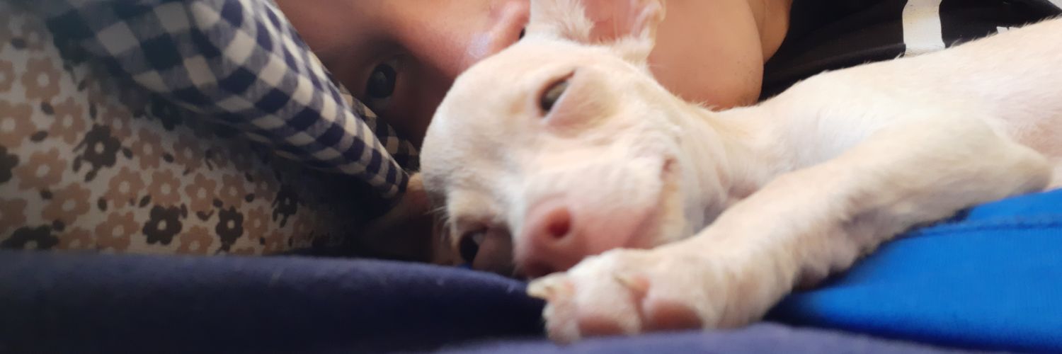 Marcovg__'s profile banner image
