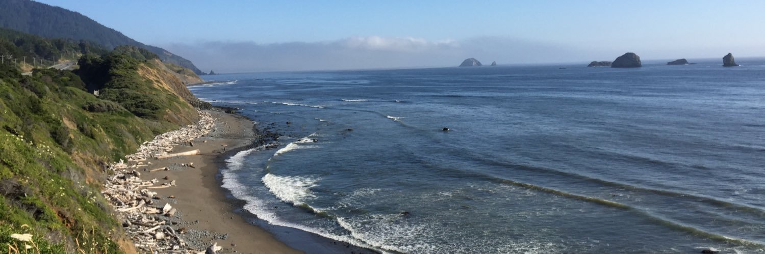 Joy Stroud Ruhmann banner