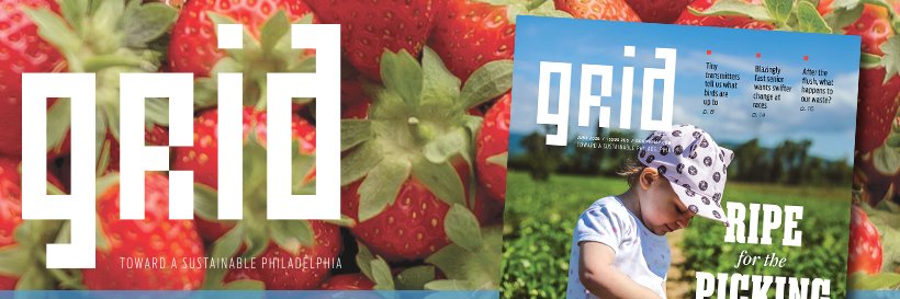 gridphilly's profile banner image