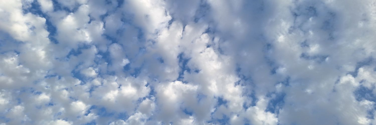 muricielaga's profile banner image