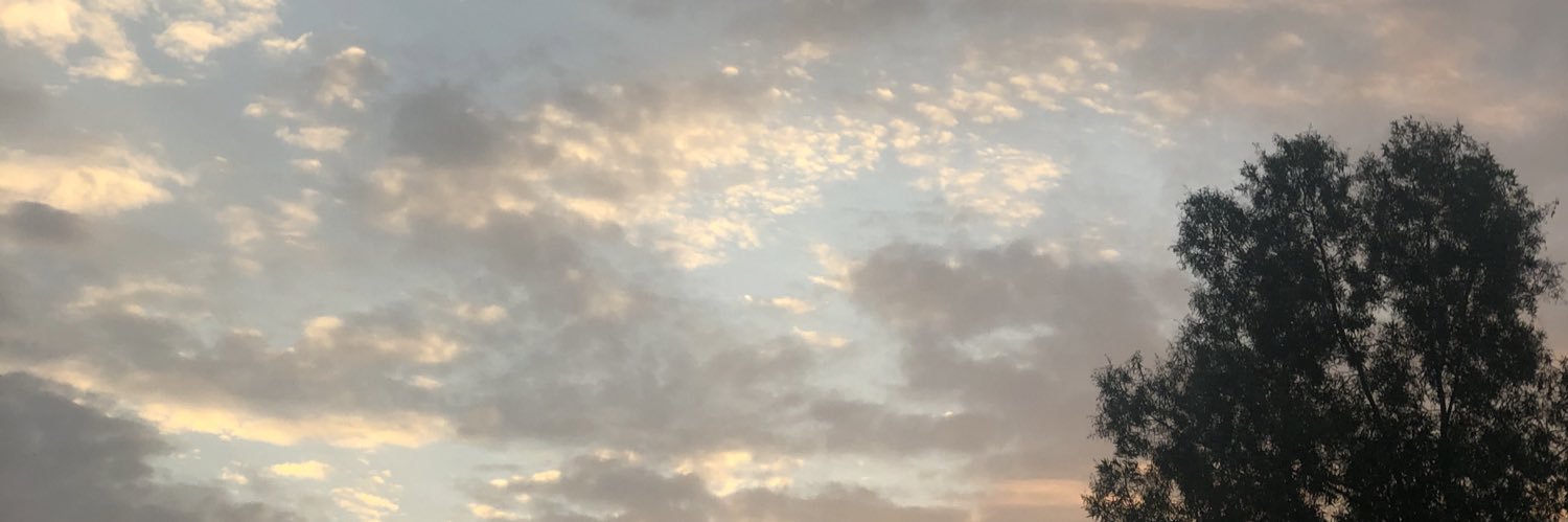 weamadlan's profile banner image