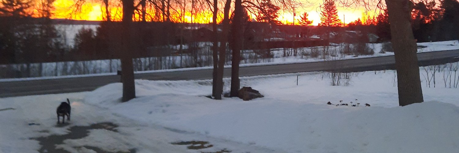 mikebear19631's profile banner image