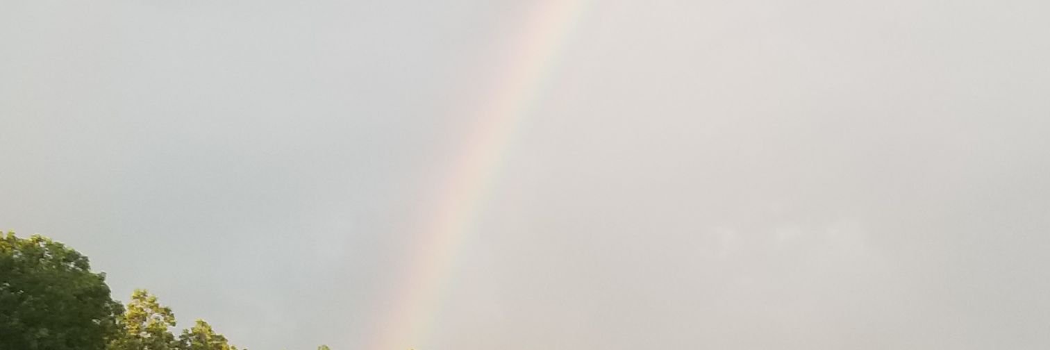 samcrowe's profile banner image