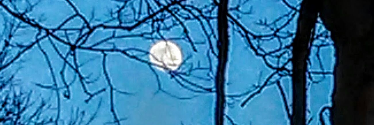 Octmoon banner