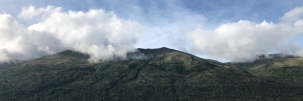 lmtorbert's profile banner image