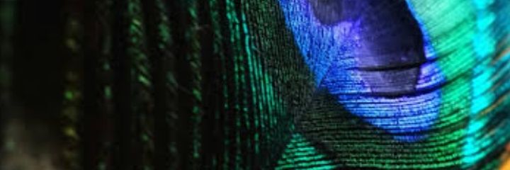 alexdaniel939's profile banner image