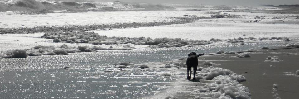 ewbeasley's profile banner image