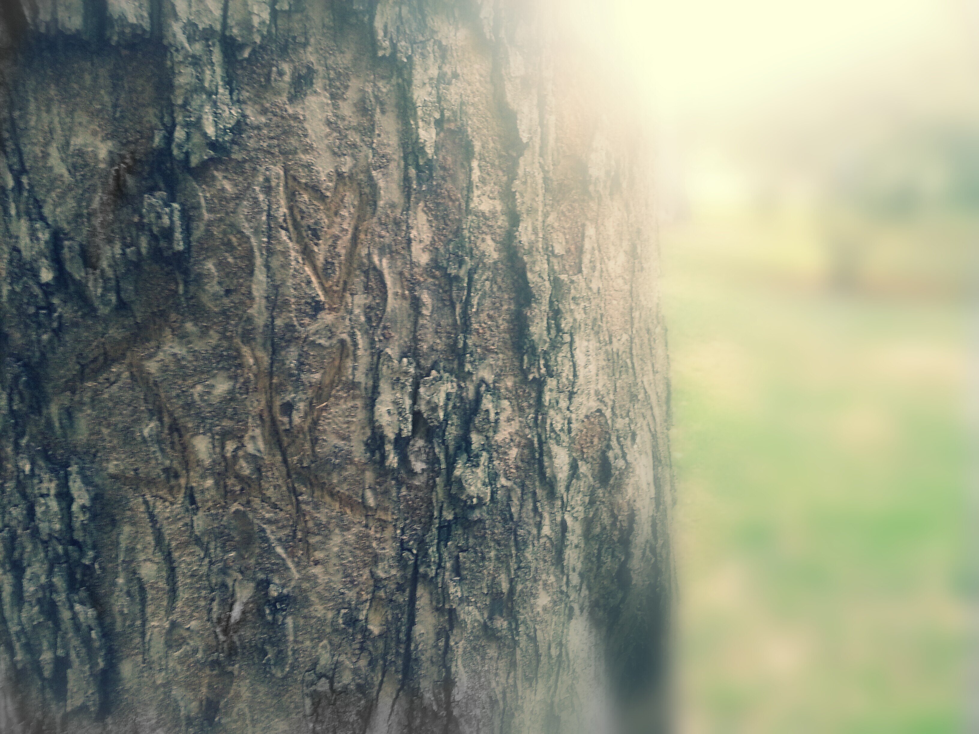 JAIRO. banner
